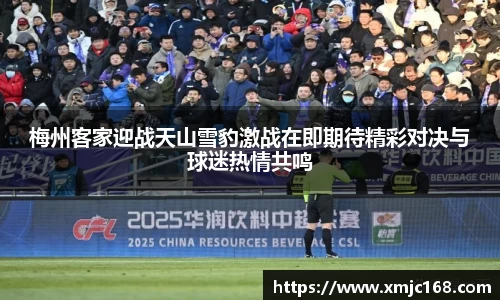 米乐YY易游